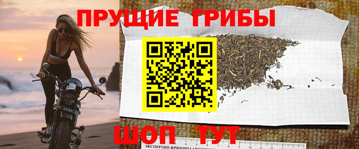 наркошоп  Псилоцибиновые грибы ЛСД  Галлюциногенные грибы MAGIC MUSHROOMS  Вход с VPN  Киреевск 